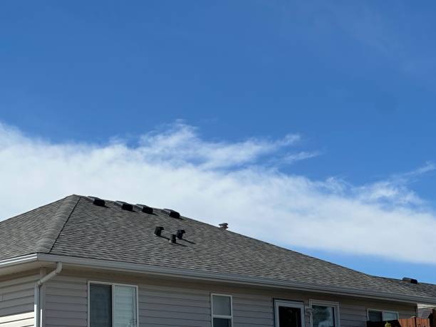 Best Roof Leak Repair  in Ballard, UT